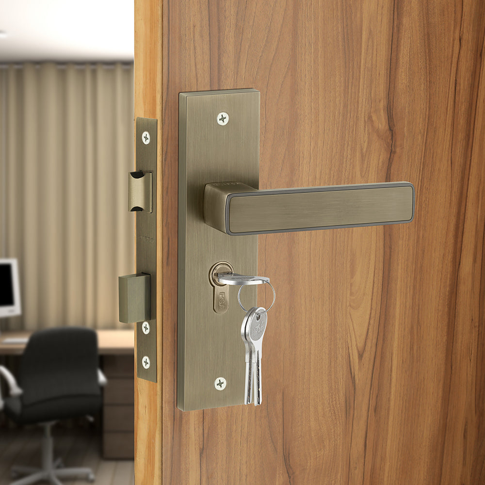 IPSA Clay Iris Handle Series on 8" Plate CYS Lockset with 60mm Both Side Key - Matte Antique Finish MAB